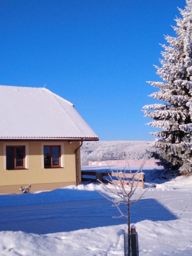 Apartmany V Posumavi Stachy Bagian luar foto